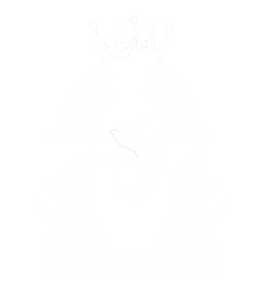 Open Heaven Foundation Logo